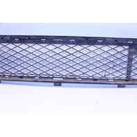 2007 BMW X5 Sport Utility 4.8i 4-Door 4.8 V8 Front Lower Bumper Grille OEM