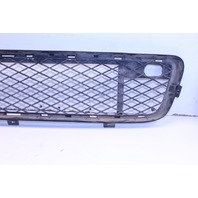 2007 BMW X5 Sport Utility 4.8i 4-Door 4.8 V8 Front Lower Bumper Grille OEM