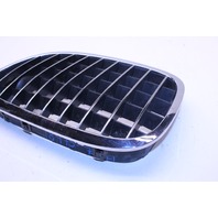 2012 Bmw 750Li xDrive Sedan Turbo Driver Left Kindey Grille 51137211661 OEM