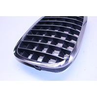2009-2012 BMW 750i Right Kidney Grille OEM