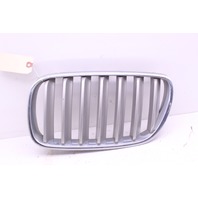 2007-2010 BMW X3 3.0L Driver Left Grille 51113420089 OEM