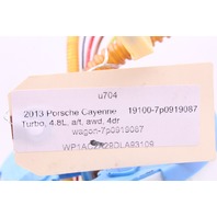 2011-2018 Porsche Cayenne Fuel Pump (In Tank) OEM