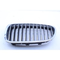 2012 2013 BMW 528i 535i 550i Front Left Driver Upper Bumper Kidney Grille 51137203203