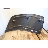 2010 2011 2012 Audi R8 Coupe V10 Left Side Blade Panel Cover Driver Carbon Fiber Stock#19474 OEM