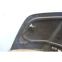 2010 2011 2012 Audi R8 Coupe V10 Left Side Blade Panel Cover Driver Carbon Fiber Stock#19474 OEM