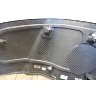 2010 2011 2012 Audi R8 Coupe V10 Left Side Blade Panel Cover Driver Carbon Fiber Stock#19474 OEM