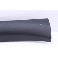2008-2012 Audi R8 Scuff Plate Entry Door Sill Left 420853905 OEM