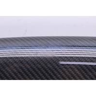 2008-2014 Audi R8 Carbon Fiber Interior Door Trim Insert Left 420867409A OEM
