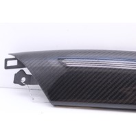 2008-2014 Audi R8 Carbon Fiber Interior Door Trim Insert Right 420867410A OEM