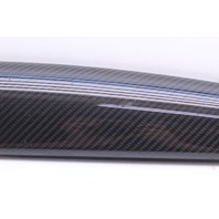 2008-2014 Audi R8 Carbon Fiber Interior Door Trim Insert Right 420867410A OEM
