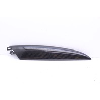 2008-2014 Audi R8 Carbon Fiber Interior Door Trim Insert Right 420867410A OEM