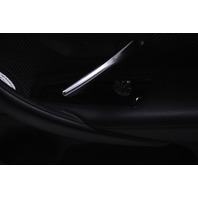 2015 2016 2017 2018 2019 2020 BMW M4 Door Panel Right