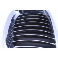 2008 BMW M5 Upper Kidney Grille Pair Left Right 7027061 7027062 OEM