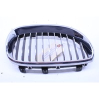 2008 BMW M5 Upper Kidney Grille Pair Left Right 7027061 7027062 OEM