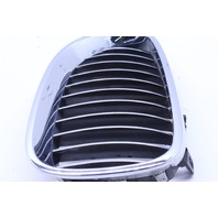2008 BMW M5 Upper Kidney Grille Pair Left Right 7027061 7027062 OEM