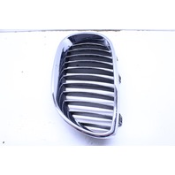 2008 BMW M5 Upper Kidney Grille Pair Left Right 7027061 7027062 OEM