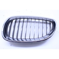 2008 BMW M5 Upper Kidney Grille Pair Left Right 7027061 7027062 OEM