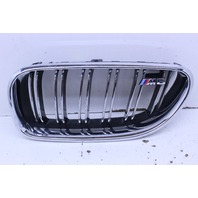 2012-2018 BMW M6 Driver Left Kidney Bumper Grille 7212849 OEM