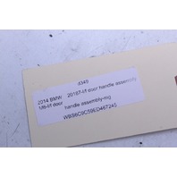 2014 BMW M6 Gran Coupe Exterior Door Handle Left Front Driver 7312867 OEM