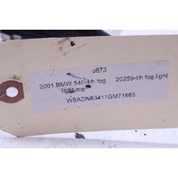 2001 BMW 540i E39 Driver Left Fog Light Lamp 63176900221 OEM