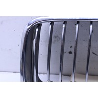 2001 BMW 330i Driver Left Kidney Grille 51138195055 OEM