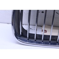 2001 BMW 330i Driver Left Kidney Grille 51138195055 OEM