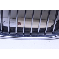 2001 BMW 330i Driver Left Kidney Grille 51138195055 OEM