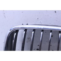 2001 BMW 330i Driver Left Kidney Grille 51138195055 OEM