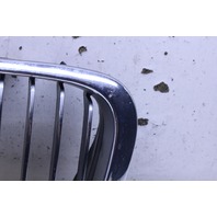 2001 BMW 330i Driver Left Kidney Grille 51138195055 OEM