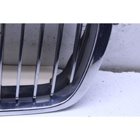 2001 BMW 330i Driver Left Kidney Grille 51138195055 OEM