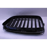2010 2011 2012 2013 BMW 535i 550i GT Upper Kidney Grille Pair Set OEM