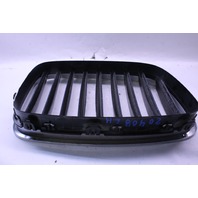 2010 2011 2012 2013 BMW 535i 550i GT Upper Kidney Grille Pair Set OEM
