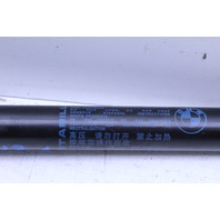 2008 BMW M3 Hood Support Strut OEM