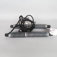 2011-2016 BMW 528i 535i 550i M5 Trunk Lid Shock Pair Set 51247207009 OEM