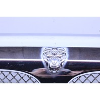 2007 Jaguar Vanden Plas Bumper Grille Upper Front Mesh 2W93-8A100-A Stock#20564 OEM
