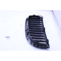 2006 2007 2008 BMW 325i 328i 330i Hood Grille Right - 51137120008 OEM