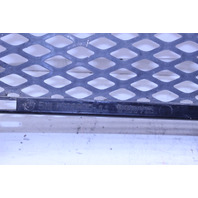 2004 2005 2006 2007 BMW 650i E63 E64 Bumper Grille Center OEM