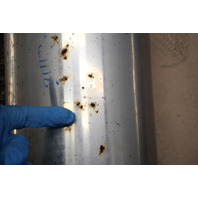 2006-2010 BMW M5 Exhaust Muffler Mufflers Manzo Brand OEM