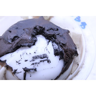 2008 Volkswagen Touareg Fuel Flange Filter 7L6919679D OEM