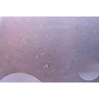 2010 2011 2012 BMW X5M Belly Pan Front Suspension Plate Cover - 31106788727 OEM