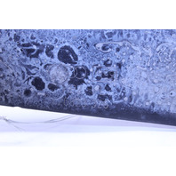 2008-2015 Audi R8 Front Hood Hing Right 420823326 OEM