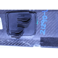 2008-2014 Audi R8 Carbon Fiber Interior Door Trim Insert Left 420867409A OEM