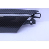 2008-2014 Audi R8 Carbon Fiber Interior Door Trim Insert Left 420867409A OEM