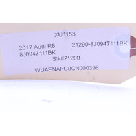 2008-2015 Audi R8 Coupe Dome Map Light Carbon Fiber MA-Carbon 8J0947111BK OEM