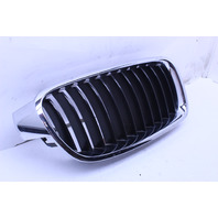 2012 2013 2014 2015 BMW 328i 335i Front Bumper Grille Right Kidney OEM