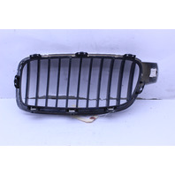 2012 2013 2014 2015 BMW 328i 335i Front Bumper Grille Right Kidney OEM