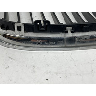 2009 2010 2011 BMW 328i 335i Kidney Grille Left 7201969 OEM