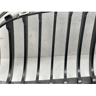 2009 2010 2011 BMW 328i 335i Kidney Grille Right 7201968 OEM