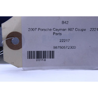 2006-2008 Porsche Cayman 987 Fog Light Cover Left OEM