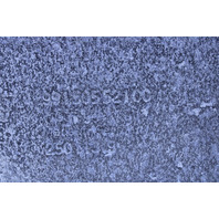 2012-2016 Porsche 911 991 Front Bumper Upper Impact Bar 99150552100 OEM